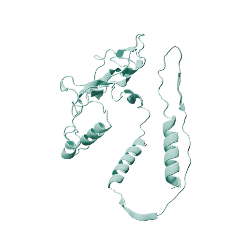 P23560-Human pro-BDNF -3d structure.jpg
